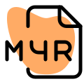 The M4R is an iPhone ringtone file that is essentially a renamed AAC icon