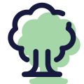 落葉樹 icon