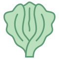 Lattuga icon