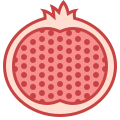 Pomegranate icon