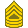 Master Sergeant MSG icon