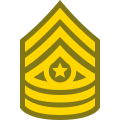 Command Sergeant Major CSM icon