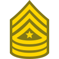 Sergeant Major SGT icon