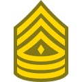 Primo Sergente 1SG icon