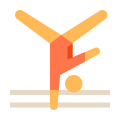 Gimnasia artística icon