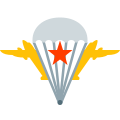 Russische Luftlandetruppen (VDV) icon