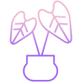 Rubber Plant icon