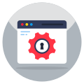 Secure Web Setting icon