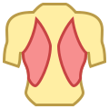 Muscoli della schiena icon