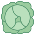 Cabbage icon