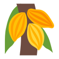 Cacaotier icon