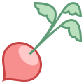 Radish icon