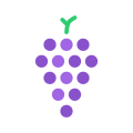 Fruit icon