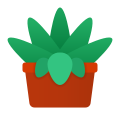 Succulento icon
