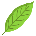 Laurel Leaf icon