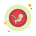 Embryo icon