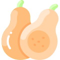 Squashball icon