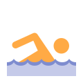 游泳皮肤类型 2 icon