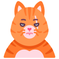 Gato icon