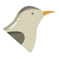 Bird icon