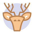 Animal icon