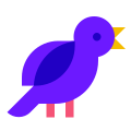 Oiseau icon