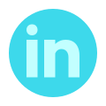 LinkedIn im Kreis icon