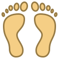 Footprint icon