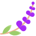 Blossom icon