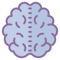 Brain icon