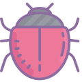 Bug icon