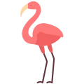 Flamant rose icon