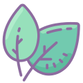 Natural Food icon