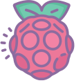 Raspberry Pi icon