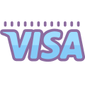 Visa icon