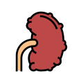 Chronic Pyelonephritis icon