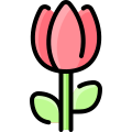 Tulipán icon