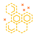 蜂蜜2 icon