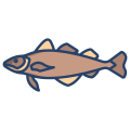 Cod Fish icon