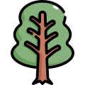 Tree icon