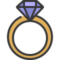 Ring icon