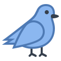 Oiseau icon