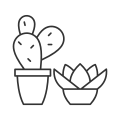 Succulents And Cacti icon