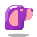 Ano do cão icon