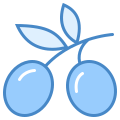 Aceituna icon