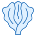 Lechuga icon