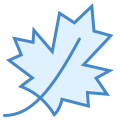 Maple Leaf icon