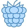 Raspberry icon