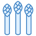 Aspargos icon