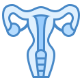 Uterus icon